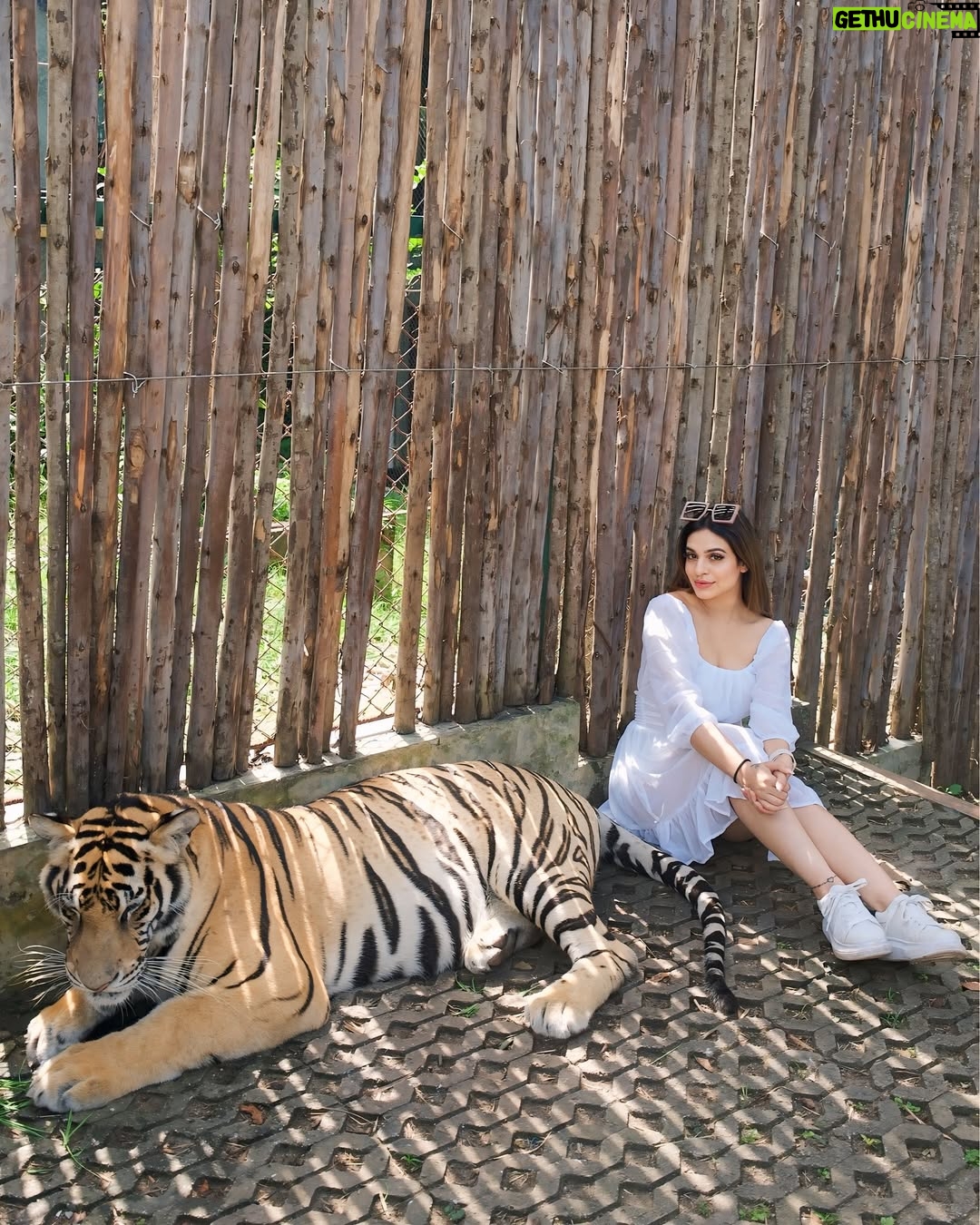 Priya Chaudhary - 27.4K Likes - 🦁
.
.
#piihuofficial #piihufam