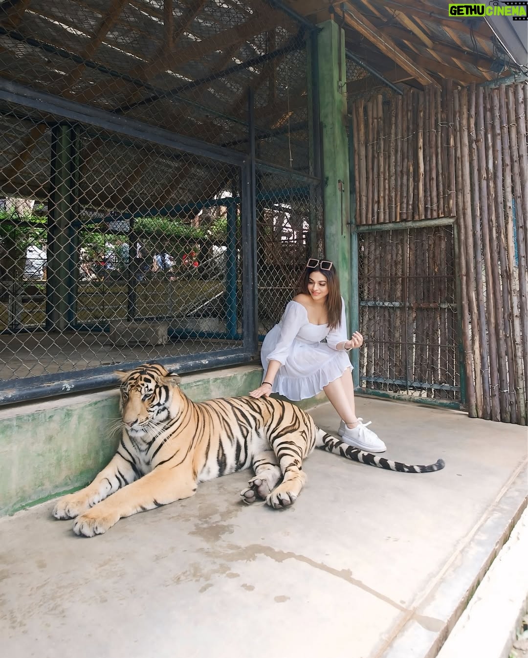 Priya Chaudhary - 27.4K Likes - 🦁
.
.
#piihuofficial #piihufam