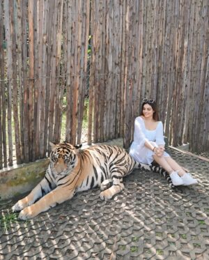 Priya Chaudhary Instagram - 🦁
.
.
#piihuofficial #piihufam