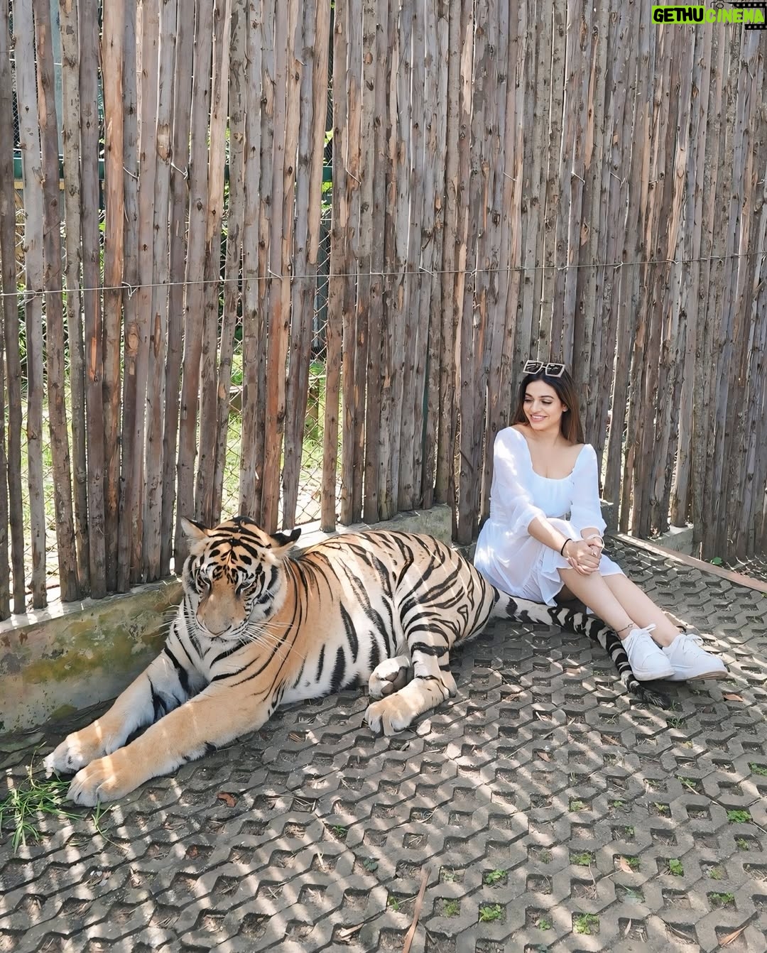 Priya Chaudhary - 27.4K Likes - 🦁
.
.
#piihuofficial #piihufam