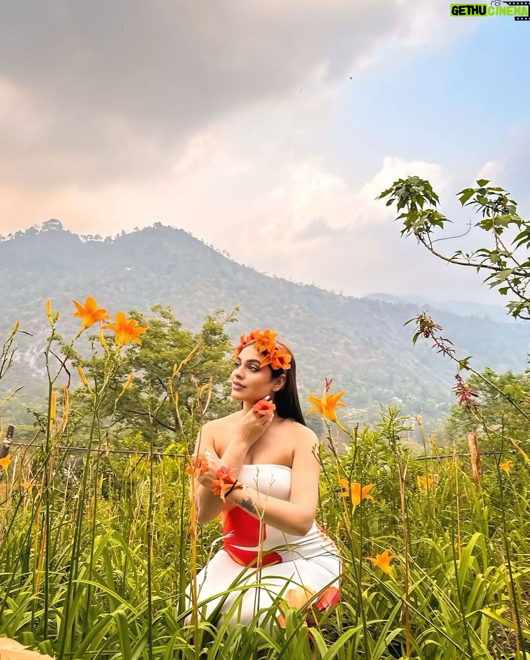 Priya Chaudhary - 27.3K Likes - This CROWN wasn’t given — it GREW 🌺
.
.
#editing @ija_photowork2.0 #piihuofficial #piihufam
