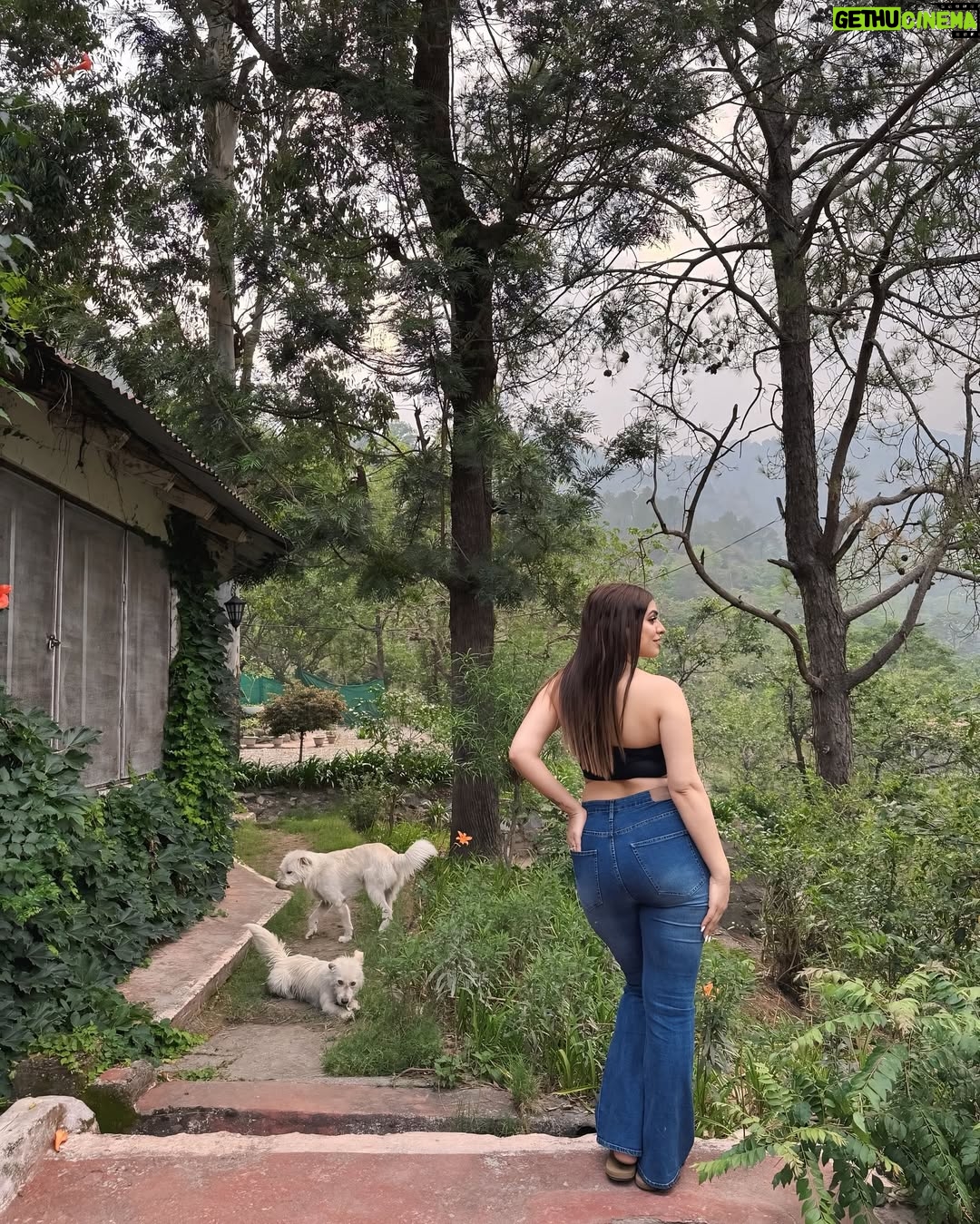 Priya Chaudhary - 32.8K Likes - Some places feel like poetry 📖🏡
.
.
#piihuofficial #piihufam #rosastays #nanital