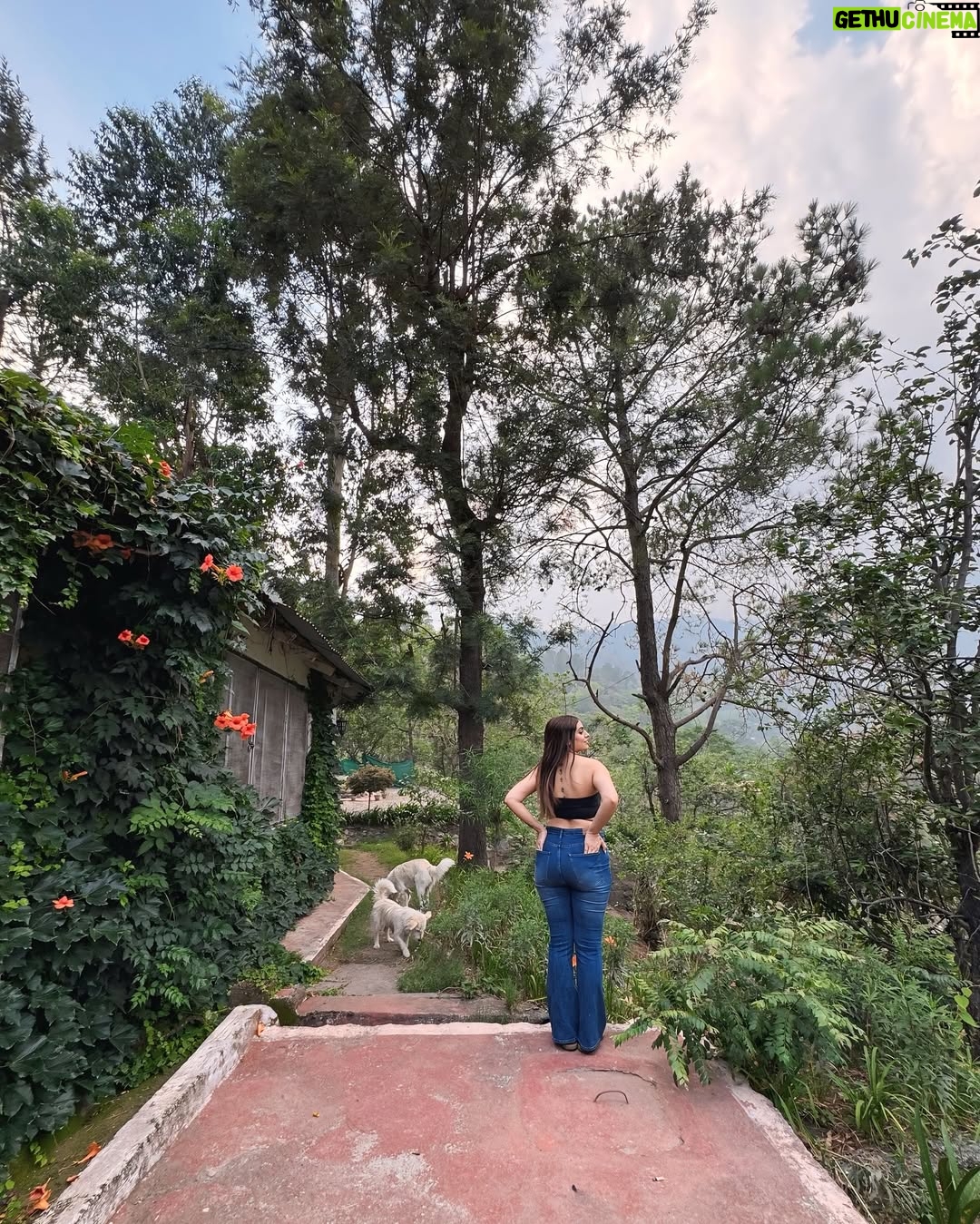 Priya Chaudhary - 32.8K Likes - Some places feel like poetry 📖🏡
.
.
#piihuofficial #piihufam #rosastays #nanital