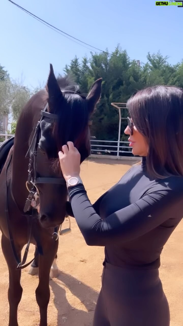 Rabia Al Zayyat - 12.3K Likes - وفي الخيل عزّة لا بستطيع الإنسان أن بفهمها ،إنها تحزن ولا تبوح ،تتألّم ولا تنكسر 💙🐎