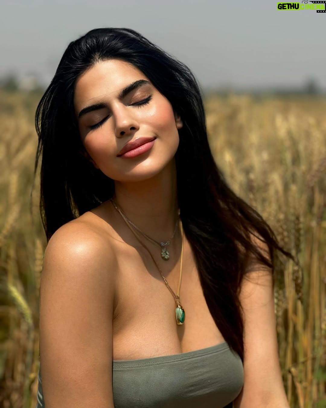 Rachel Gupta - 101.8K Likes - Golden state🌾