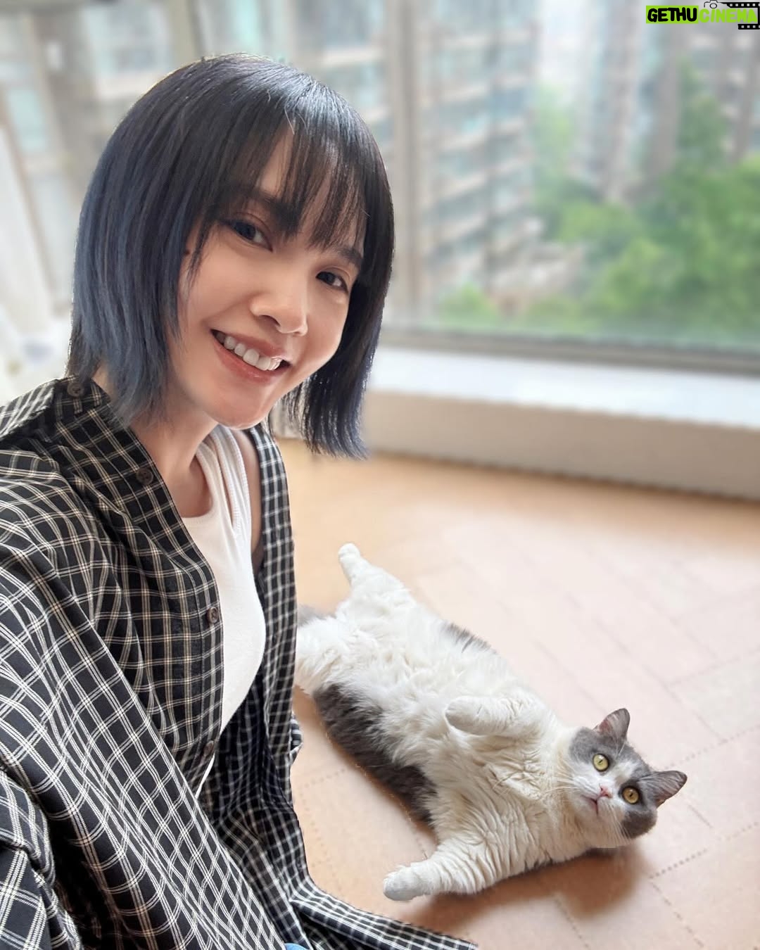 Rainie Yang - 20K Likes - 七月沒閒著
無論生活還是工作
喜歡這樣的節奏🩵

#生活碎片 #告別七月
