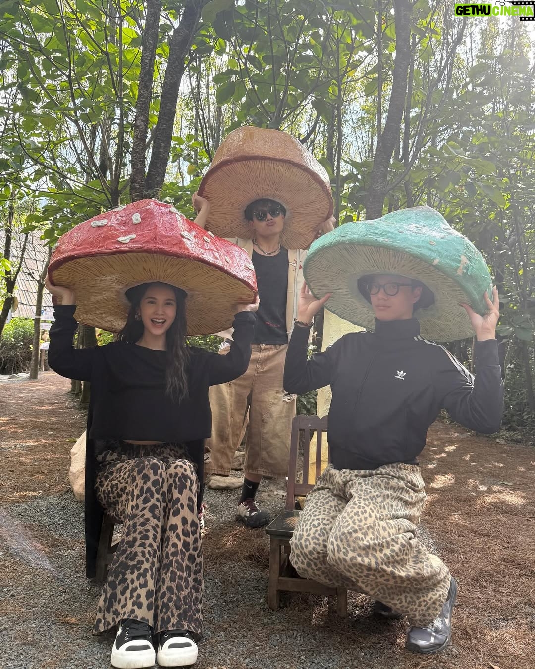 Rainie Yang - 16.8K Likes - 就用大理之收官畢旅Day 3來總結整個六月吧☀️（影片多，慎入！也有琳美照喔）

#生活碎片 #告別六月
#畢業旅行 #大理