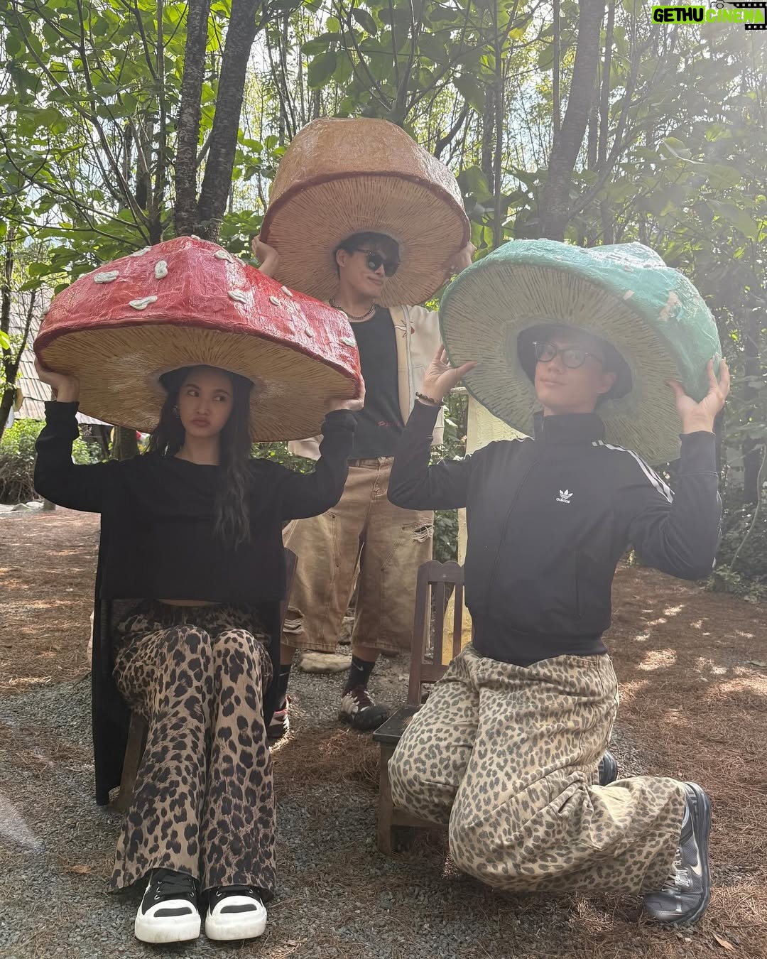Rainie Yang - 16.8K Likes - 就用大理之收官畢旅Day 3來總結整個六月吧☀️（影片多，慎入！也有琳美照喔）

#生活碎片 #告別六月
#畢業旅行 #大理