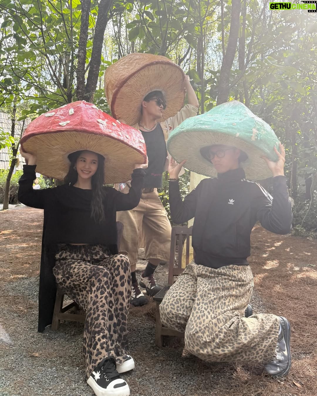 Rainie Yang - 16.8K Likes - 就用大理之收官畢旅Day 3來總結整個六月吧☀️（影片多，慎入！也有琳美照喔）

#生活碎片 #告別六月
#畢業旅行 #大理