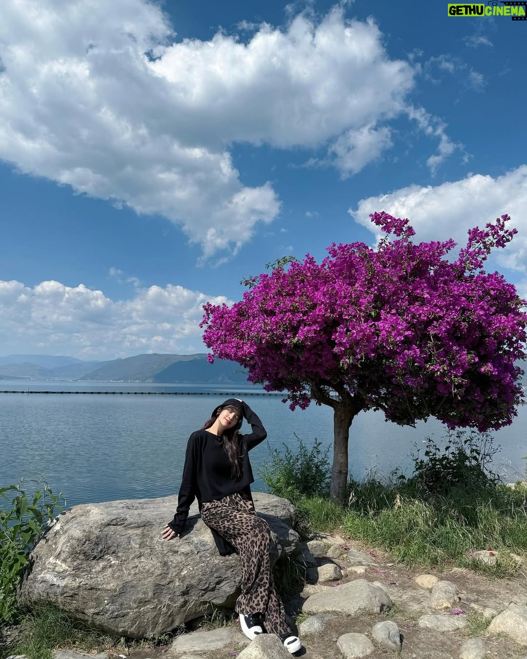 Rainie Yang - 16.8K Likes - 就用大理之收官畢旅Day 3來總結整個六月吧☀️（影片多，慎入！也有琳美照喔）

#生活碎片 #告別六月
#畢業旅行 #大理