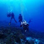Raline Shah