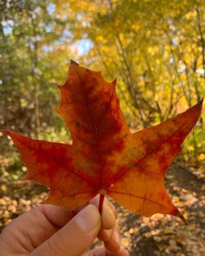 Rana El Hariri Instagram - 🍁 أجمل فصول السنة 🍂 بتوافقوني الرأي؟