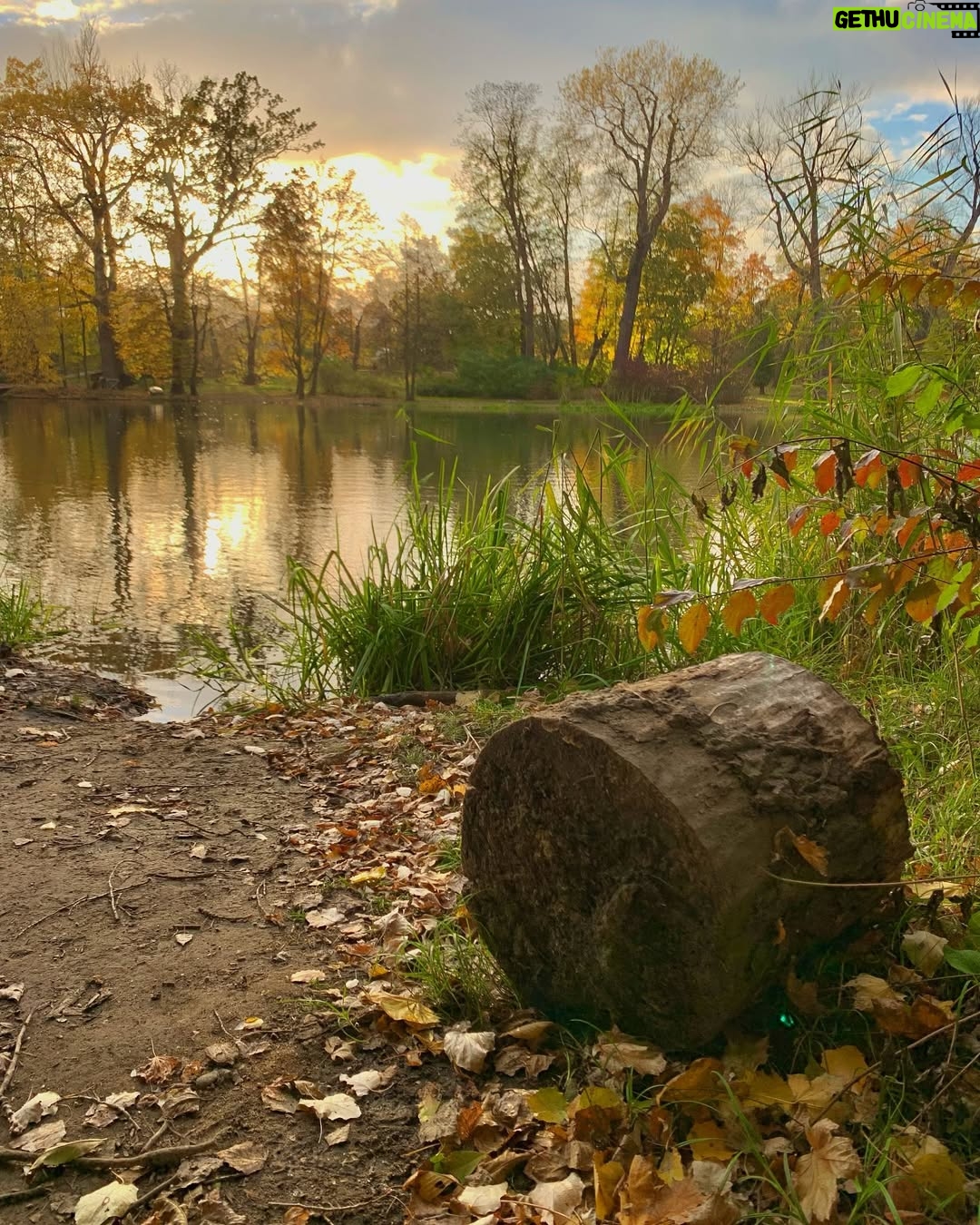 Rana El Hariri - 20.8K Likes - 🍁 أجمل فصول السنة 🍂 بتوافقوني الرأي؟