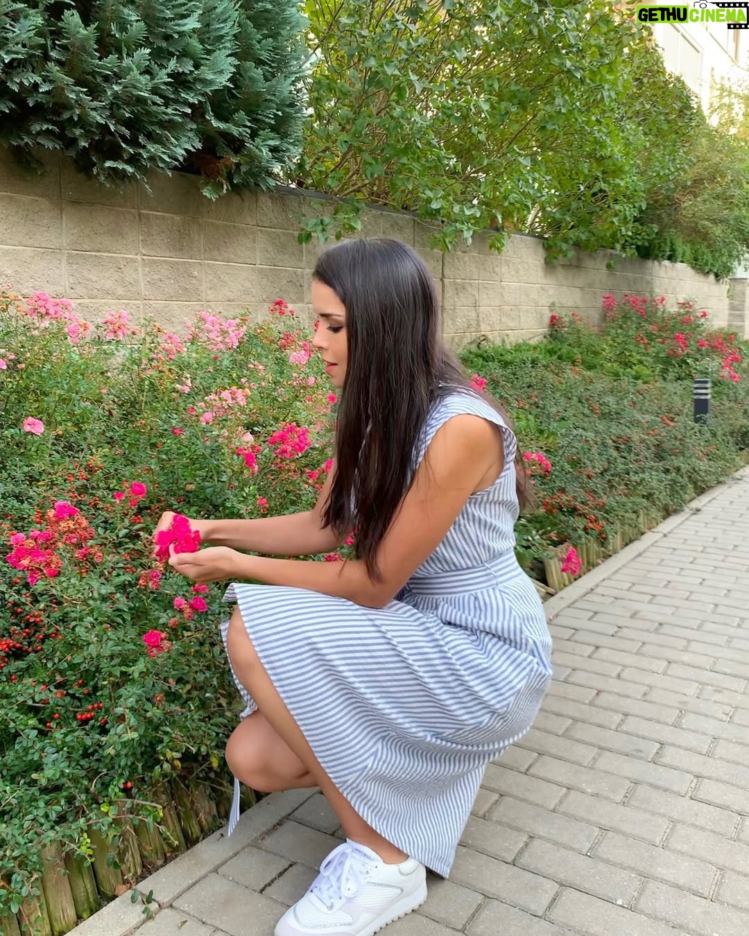 Rana El Hariri - 32.5K Likes - شو سر السعادة برأيكم؟ 🌸