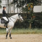 Raya Kohandi