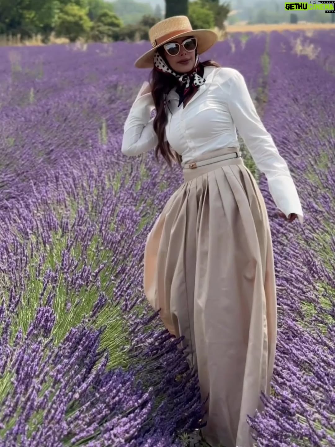Reem Alnajem - 744 Likes - هذي مشترياتي من
@shein_ar
مشترياتي من براند ANWESTA 
وبراند MOTF 
كثير حبيت الخامه والديزاينات اللي عندهم دخلو على شي ان واستعملوا كود الخصم ( 5RM )

#SHEINtrends
#MOTF
#ANEWSTA
#DAZY
#SHEINtrends