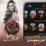 Reem El Baroudy