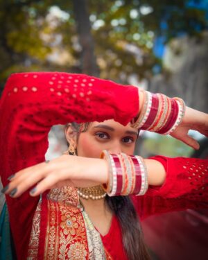 Reshma Thakur Instagram - हुकूम❤️