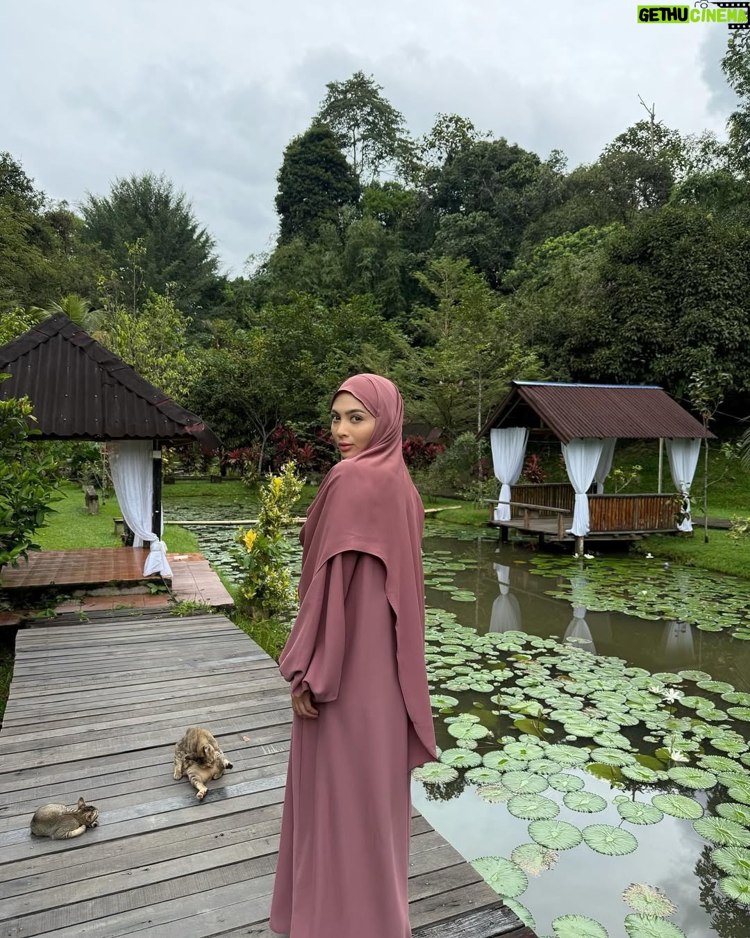 Riena Diana - 17.6K Likes - Your future Zaujah, insyaallah 💗

#Bidaah #ViuSeries #Baiduri