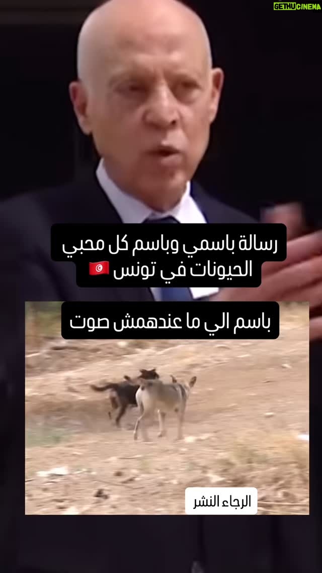Rim El Benna - 8.5K Likes - ⁨	⁨	⁨	⁨	⁨	⁨	رسالة إلي رئاسة الجمهورية التونسية 🇹🇳 ، باسمي واسم كل محبي و المدافعين على الحيونات في تونس، وقف القنص و فعل قانون حماية الحيونات سيد الرئيس، نحن آلاف من المواطنين ، البياطرة، الحقوقيين، الجمعيات، توانسة جاهزين للمساعدة و القطع مع هذه الممارسات البشعة الغير الأخلاقية و الغير ناجعة و بناء منضومة اخرى تتحكم في الحيونات السائبة و تحميها #وقف_قنص_الكلاب #تفعيل_قانون_حماية_الحيوانات #stop_killing_dog #tunisia⁩⁩⁩⁩⁩⁩