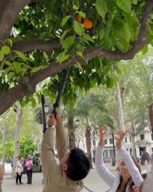 Ritz Azul Instagram - … España! 🇪🇸

Ang dami palang purpose ng tripod. Pwede ring panungkit ng orange 🍊 who did it better? 😏😆