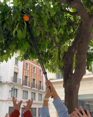 Ritz Azul Instagram - … España! 🇪🇸

Ang dami palang purpose ng tripod. Pwede ring panungkit ng orange 🍊 who did it better? 😏😆
