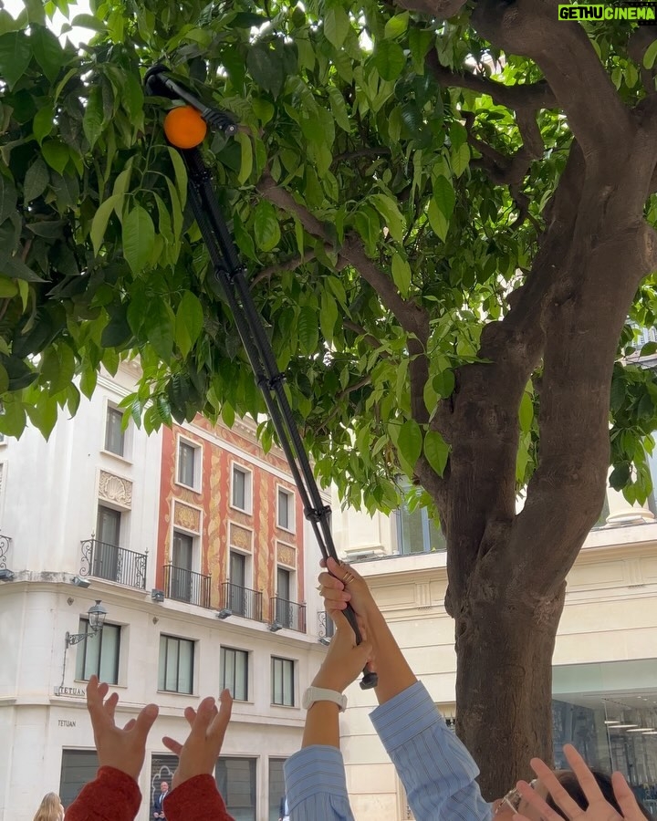 Ritz Azul - 4K Likes - … España! 🇪🇸

Ang dami palang purpose ng tripod. Pwede ring panungkit ng orange 🍊 who did it better? 😏😆