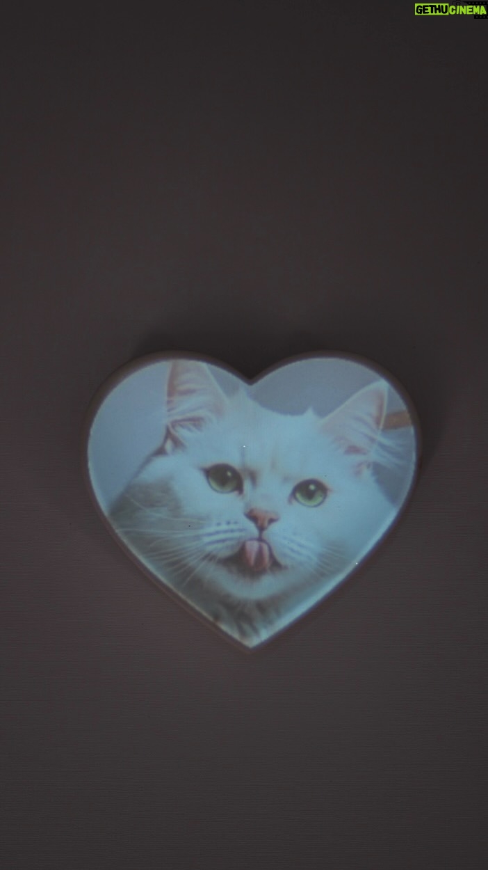 Romina Poza - 3 Likes - #FancyCatLovers Bistro Experiece x Petco 
 
📍Gran Terraza Coapa frente a Petco (se necesita registro previo para acceder a la experiencia)
