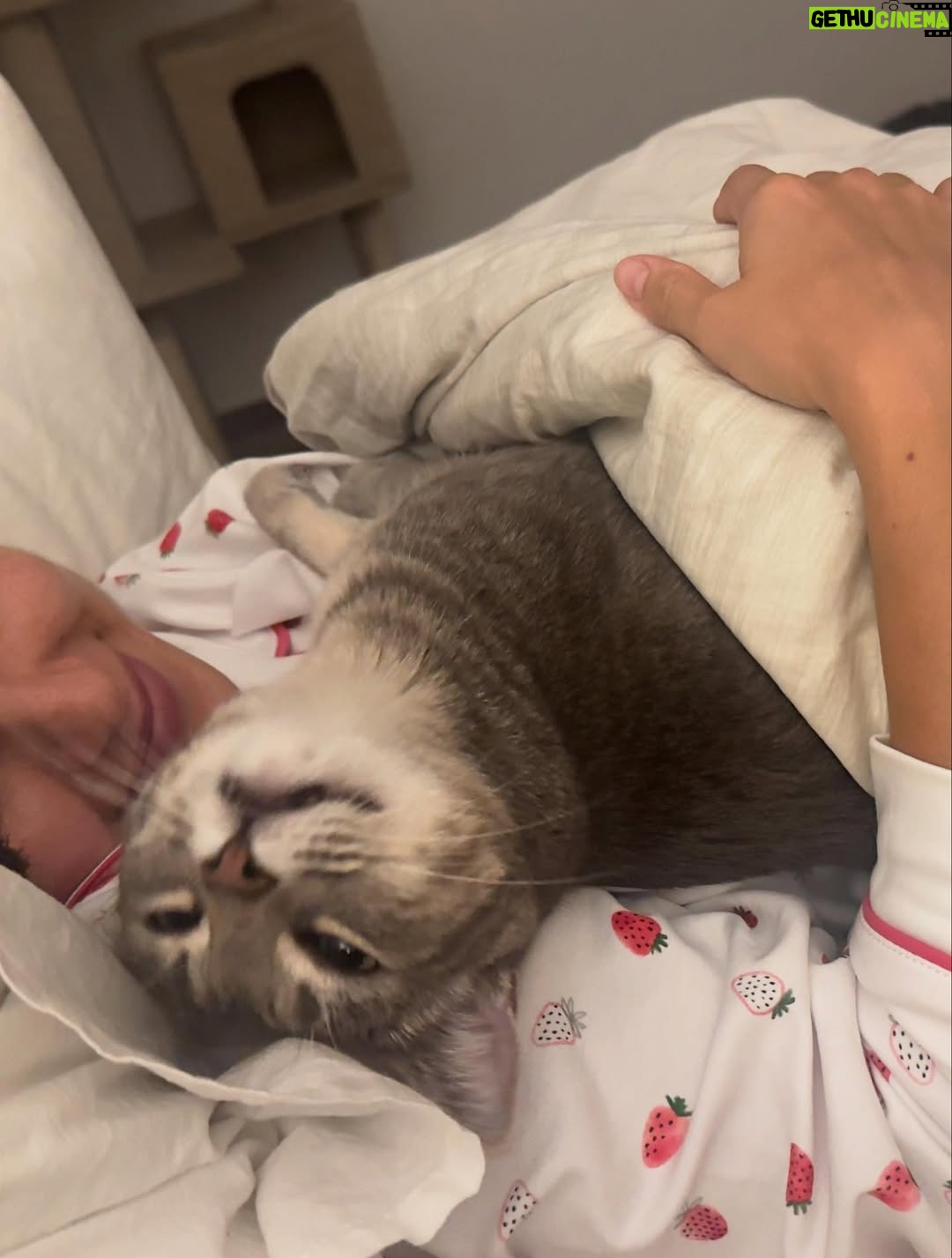Romina Poza - 3 Likes - Así dormimos ella y yo 🐣❤️‍🩹🍰