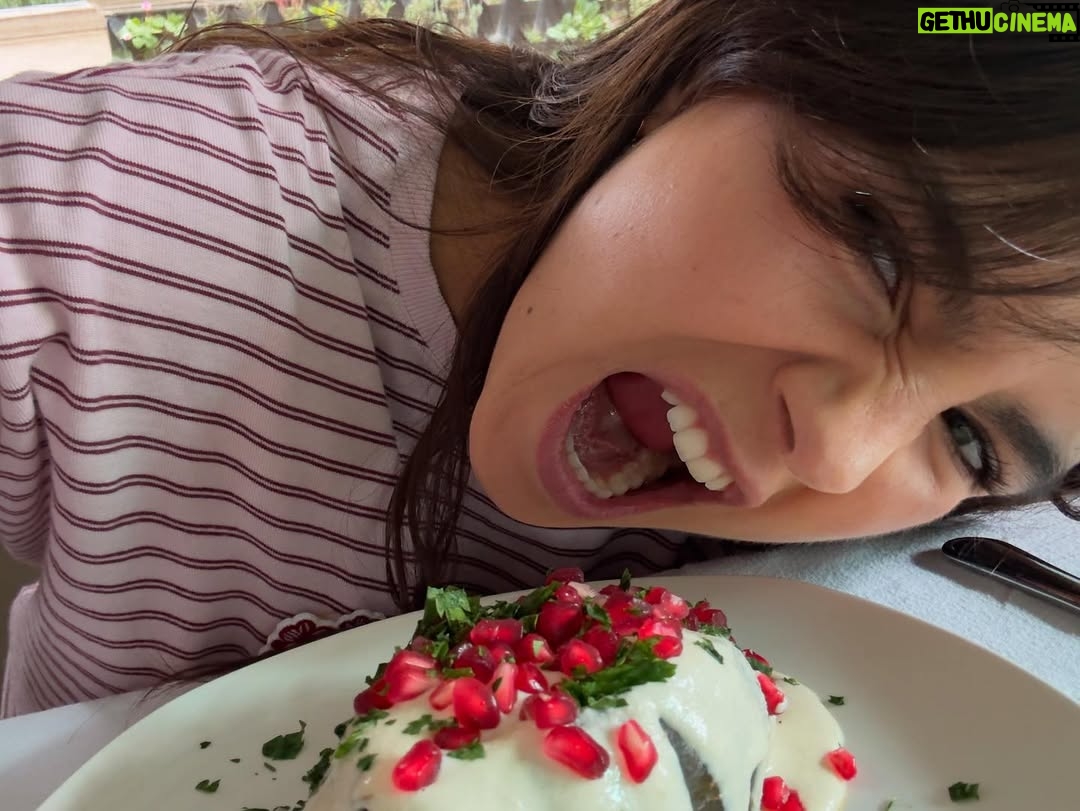 Romina Poza - 3 Likes - No existe mejor Chile en nogada que el de mi mamá… lo podría jurar