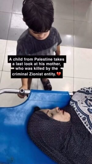 Rouwaida Attieh Instagram - سامحنا💔عن اي وجع هالطفل وغيرو عم يعيشو وما حدا عم يحس ويتحرك،الله يرحم الشهداء والابرياء،لا تخافو الكم ربنا هو خير من كل البشر🤲🏻انصرهم يارب
اللهم شتت شمل اسرائيل اللهم رد كيدهم بنحرهم اللهم دمرهم واخسف ارضك بهم يارب العرش العظيم🤲🏻
#غزه #فلسطين🇵🇸