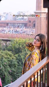 Ruchika Ray Top 100 Instagram Photos and Posts