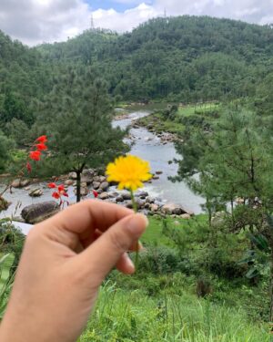 Rupankrita Kalita Instagram - Kho gaye hum in paharon main 🍁