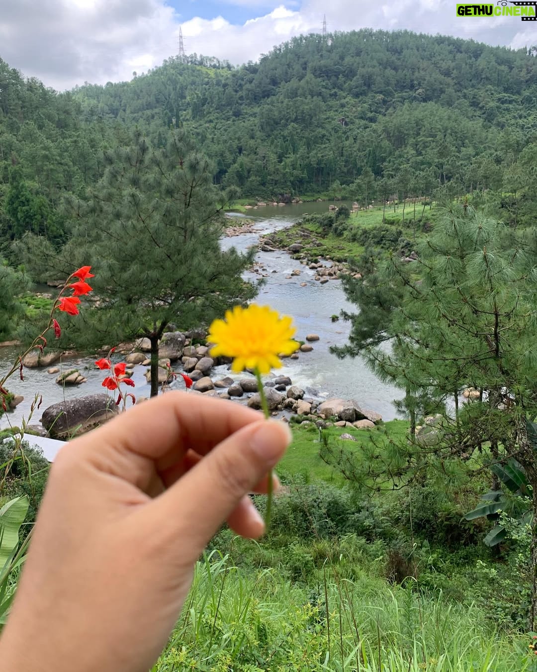 Rupankrita Kalita - 48.1K Likes - Kho gaye hum in paharon main 🍁