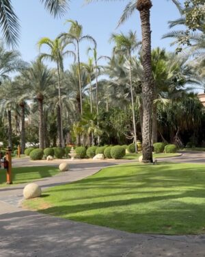 Rym Breidy Instagram - Please Weekends re for the family. 
 @jumeirahalqasr we had an unforgettable time 
Why leave the resort when Jumeirah Al Qasr has it all?
Best Beach in dubai , bites, spa, fun, and full on family vibes.