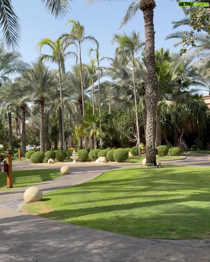 Rym Breidy - 28K Likes - Please Weekends re for the family. 
 @jumeirahalqasr we had an unforgettable time 
Why leave the resort when Jumeirah Al Qasr has it all?
Best Beach in dubai , bites, spa, fun, and full on family vibes.