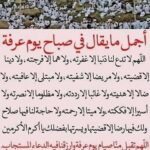 Rym Ghezali
