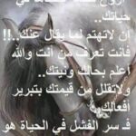 Rym Ghezali