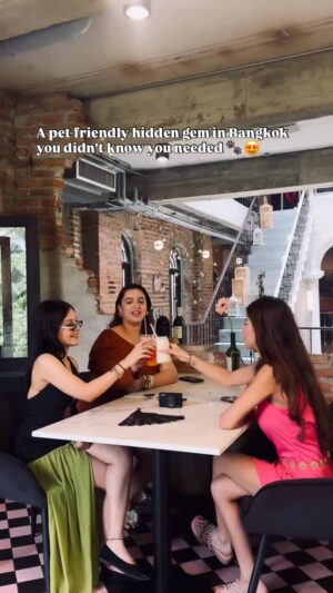 Saanya Khatter Instagram - LOCATION IN THE END 💁🏻‍♀️ 
A gem in Bangkok that’s not just for you, but for your pets too 🐾✨ Save this for your next trip! ❤️ 
#trending #fyp #reelsinstagram #petfriendly #bangkok #thailand #bffs #friends #hiddengeminbkk #pettravel #bangkoktravel #vacation #reelhotels
