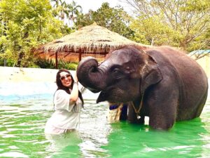Sahar Seddiki Instagram - Made a new friend in Thailand!! he’s a bit bigger than me but just as playful!😛🥰🥰🐘🐘