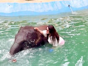 Sahar Seddiki Instagram - Made a new friend in Thailand!! he’s a bit bigger than me but just as playful!😛🥰🥰🐘🐘