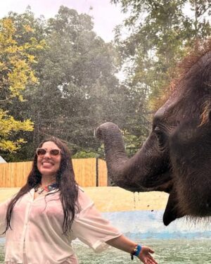 Sahar Seddiki Instagram - Elephant vibes only🐘😍😄