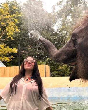 Sahar Seddiki Instagram - Elephant vibes only🐘😍😄