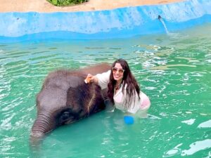 Sahar Seddiki Instagram - Made a new friend in Thailand!! he’s a bit bigger than me but just as playful!😛🥰🥰🐘🐘