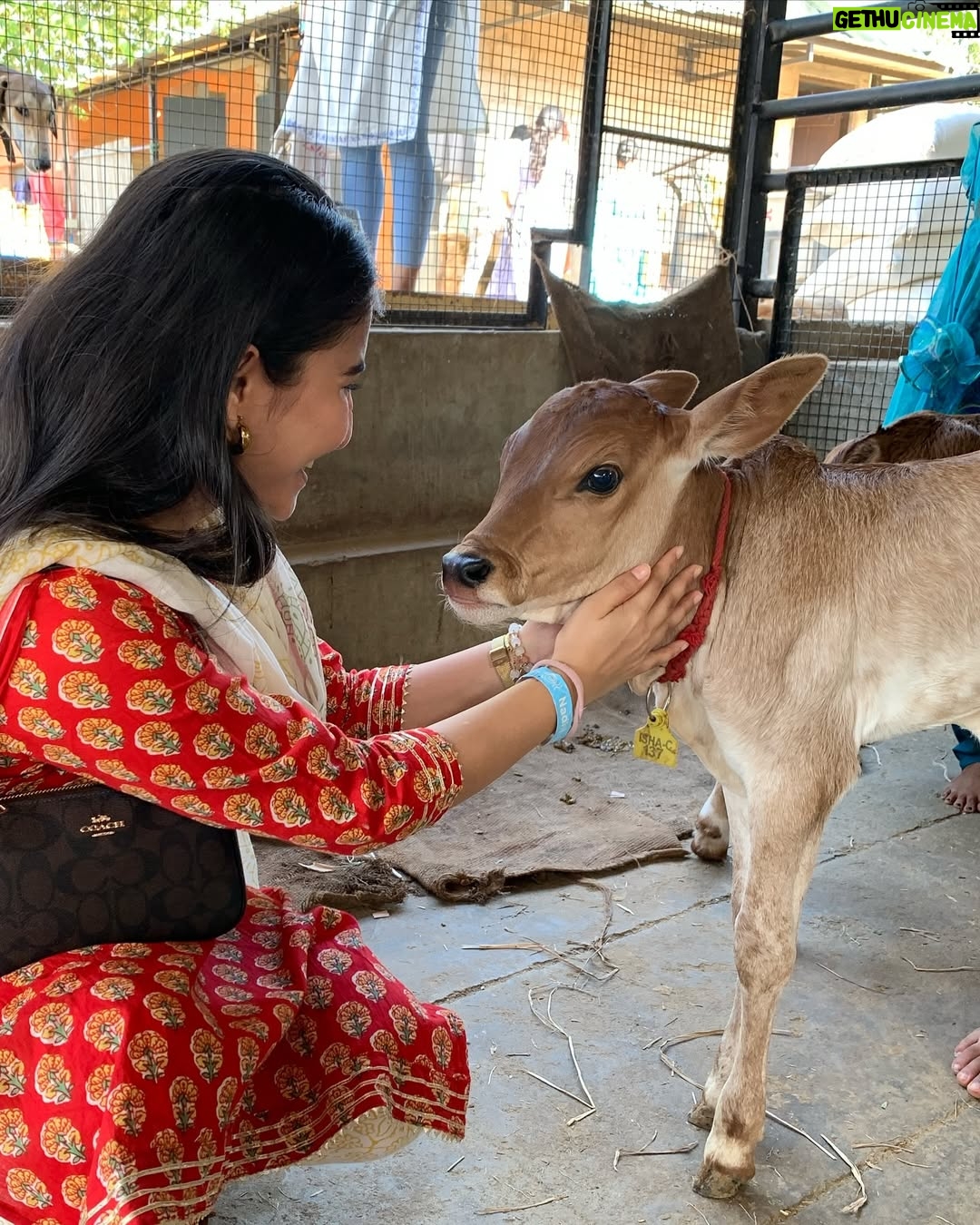 Sai Godbole - 79.1K Likes - Namaskaram🙏🏼❤️
At the foothills of the Velliangiri mountains, my time at the @isha.foundation was surreal. The calm I felt within the serene and spiritually charged space was profound. Surrounded by the inclusivity and warmth of the people, nourished by healthy food, embraced by the purity of the air, and the divinity and grandeur of the Adi Yogi, I felt deeply connected. The energy of the powerfully consecrated Dhyan Linga and the Linga Bhairavi Devi temple has left a lasting impression on my soul. 
It was heartening to witness the immense work being done to address climate change through the Save Soil initiative (we visited the nursery too) and support for farmers. The dedication to empowering underprivileged students at the Isha Vidhya school is truly inspiring. The work Sadhguru and his team of volunteers continue to do is nothing short of remarkable.
Thank you for this incredible experience, for welcoming my mom and me into your sacred space. We left feeling rejuvenated, inspired, and deeply grateful. Shambho.”

Special thank you to Swami Suyagna ji for his kindness, time and generosity🙏🏼
Priyanka Akka and Kinjal Akka @kinjalmehta97 for showing us around the ashram with so much care, your warmth made us feel even more connected to the space🌷
Lots of love to Rudreshi Akka @_rudreshi_ for truly making us feel at home! You are sunshine! ☀️ 
Thank you to Kunal Anna for organising this retreat and Chaitral for coordinating everything! 🤍
And a huge thank you to Daddu @niharshembekar for introducing me to this divine, magical world and to my mom @kulkishori for her company and her efforts to make sure I have this experience ❤️🧿🙏🏼🌟

#ishafoundation #adiyogi #sadhguru