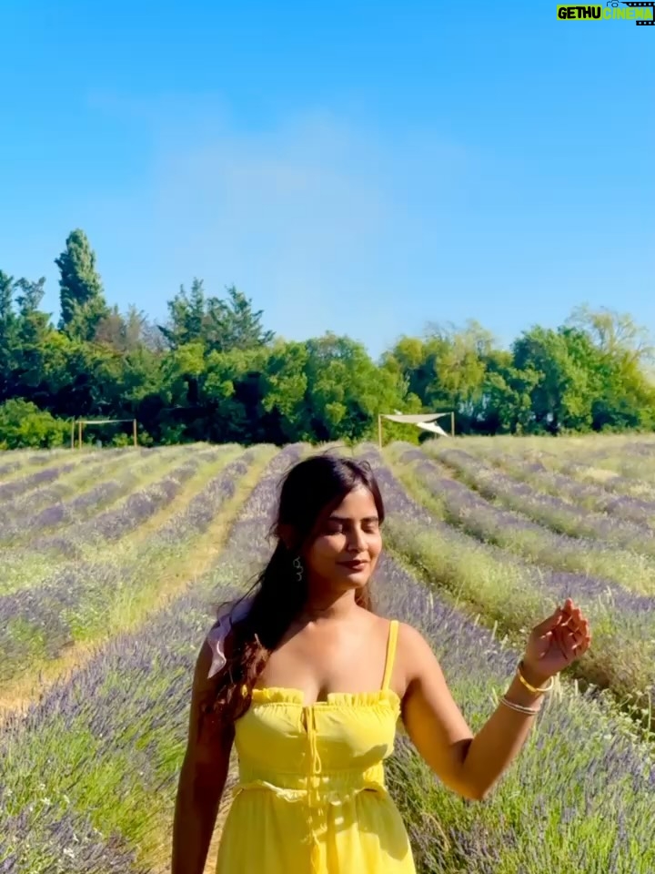 Sameeksha Takke - 52.3K Likes - Like a sunflower lost in lavender fields who is scared of Bees 🌻
.
.
Provence Vlog ka revision karlo Youtube pe ✨ New video coming today ❤️
.
.
.
Love you photographer @roopvermaa 
.
#aixenprovence #StInEurope #france #sameekshatakke #travel #potraits #provence #lavender #lavenderfields #travelgram #atrangiwomaniya