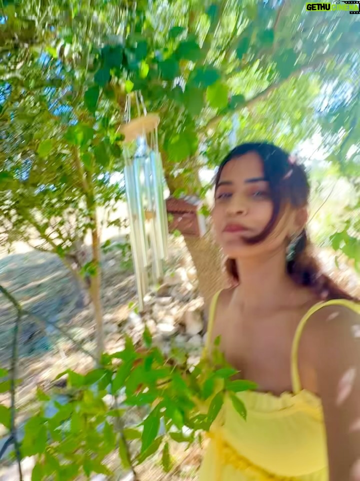 Sameeksha Takke - 52.3K Likes - Like a sunflower lost in lavender fields who is scared of Bees 🌻
.
.
Provence Vlog ka revision karlo Youtube pe ✨ New video coming today ❤️
.
.
.
Love you photographer @roopvermaa 
.
#aixenprovence #StInEurope #france #sameekshatakke #travel #potraits #provence #lavender #lavenderfields #travelgram #atrangiwomaniya