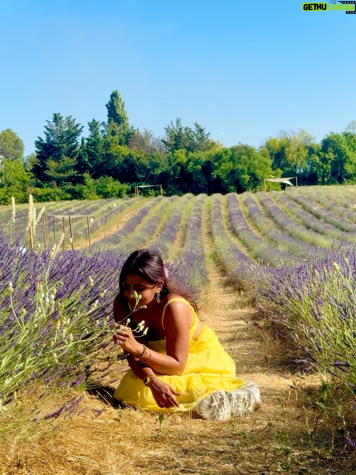 Sameeksha Takke - 52.3K Likes - Like a sunflower lost in lavender fields who is scared of Bees 🌻
.
.
Provence Vlog ka revision karlo Youtube pe ✨ New video coming today ❤️
.
.
.
Love you photographer @roopvermaa 
.
#aixenprovence #StInEurope #france #sameekshatakke #travel #potraits #provence #lavender #lavenderfields #travelgram #atrangiwomaniya