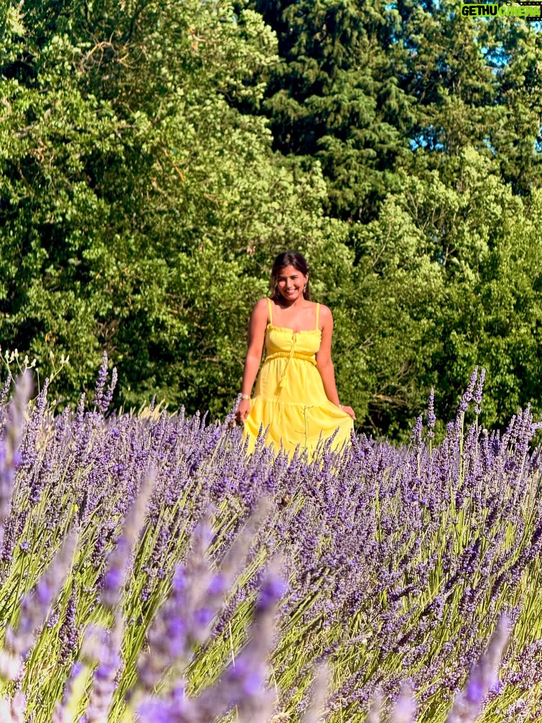 Sameeksha Takke - 52.3K Likes - Like a sunflower lost in lavender fields who is scared of Bees 🌻
.
.
Provence Vlog ka revision karlo Youtube pe ✨ New video coming today ❤️
.
.
.
Love you photographer @roopvermaa 
.
#aixenprovence #StInEurope #france #sameekshatakke #travel #potraits #provence #lavender #lavenderfields #travelgram #atrangiwomaniya