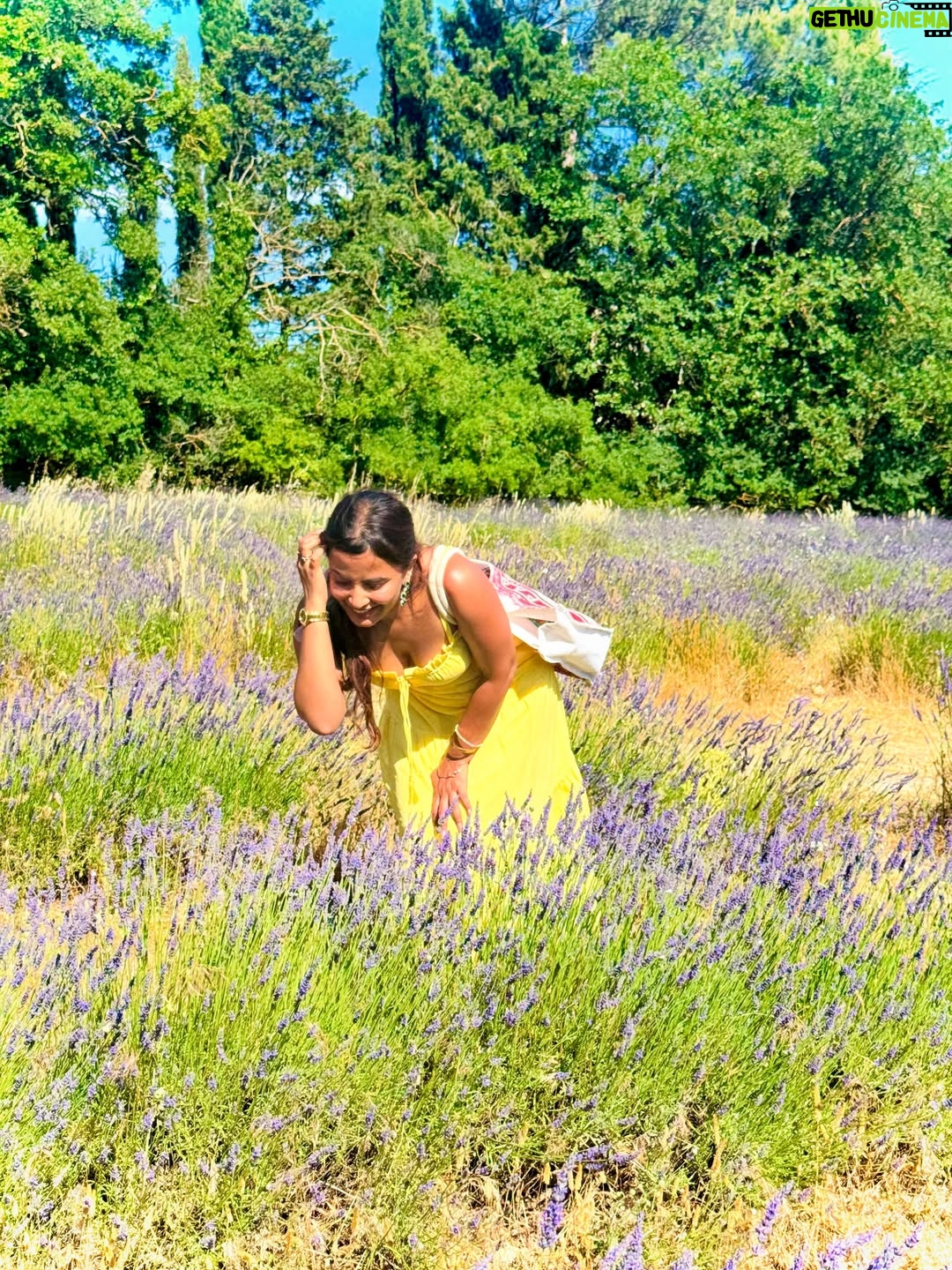 Sameeksha Takke - 52.3K Likes - Like a sunflower lost in lavender fields who is scared of Bees 🌻
.
.
Provence Vlog ka revision karlo Youtube pe ✨ New video coming today ❤️
.
.
.
Love you photographer @roopvermaa 
.
#aixenprovence #StInEurope #france #sameekshatakke #travel #potraits #provence #lavender #lavenderfields #travelgram #atrangiwomaniya